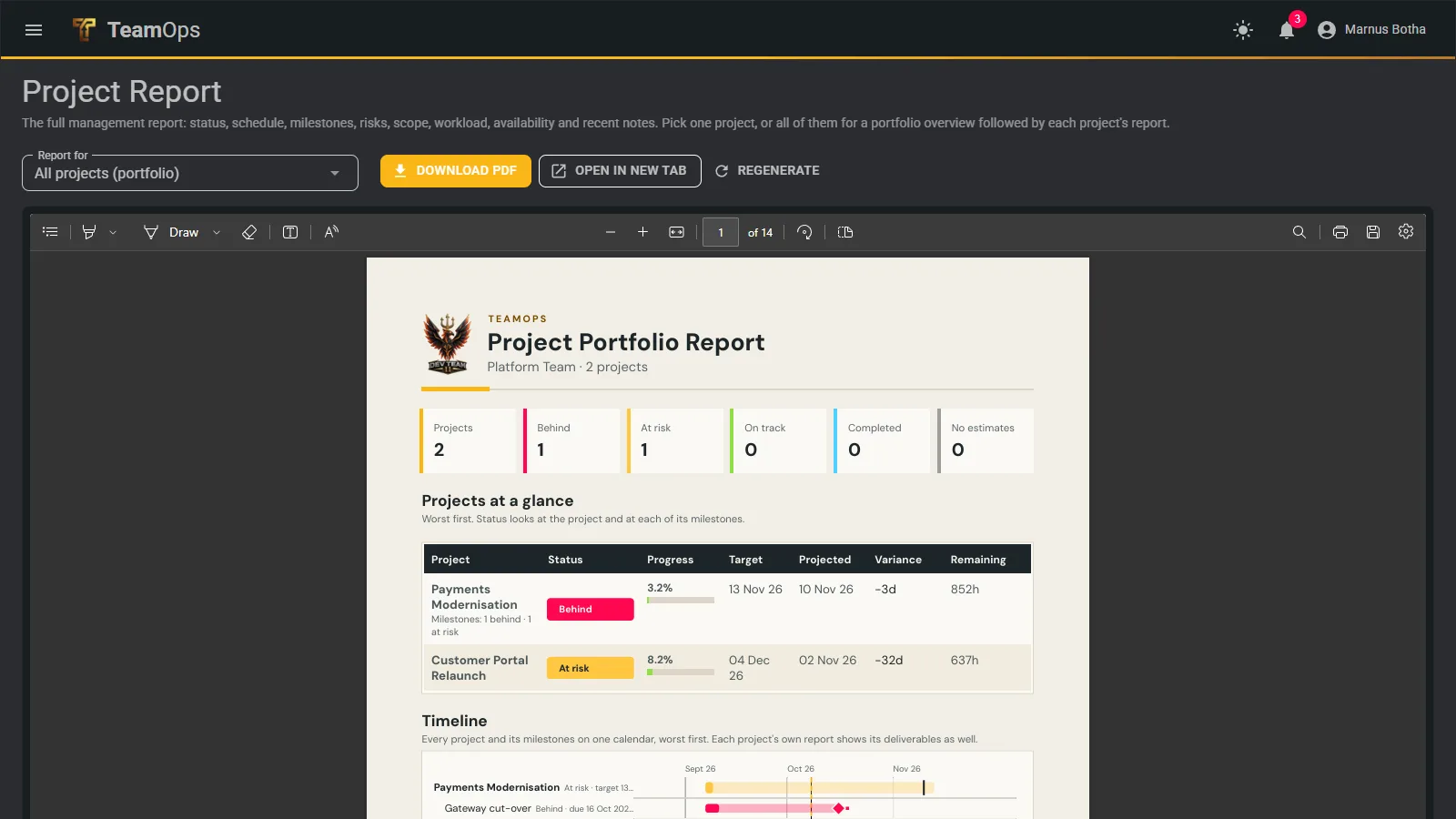 A project report previewed in the browser